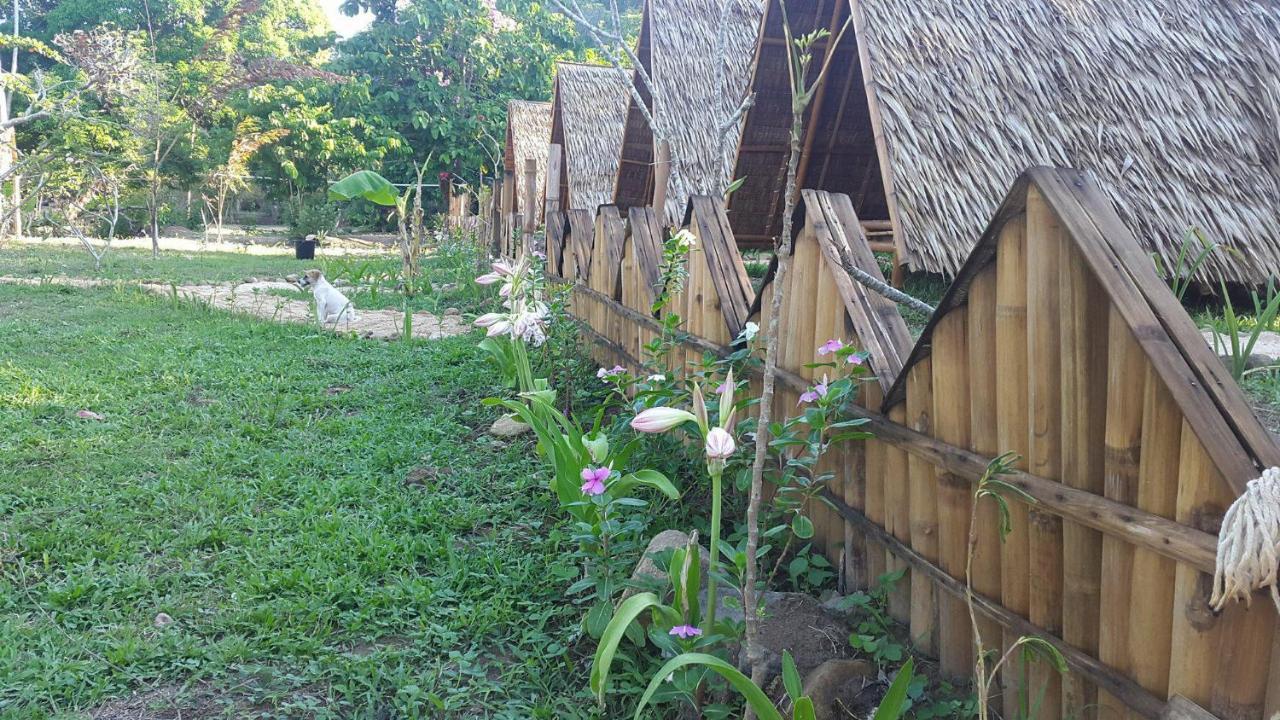 Plumeria Eco-Resort El Nido Pokoj fotografie