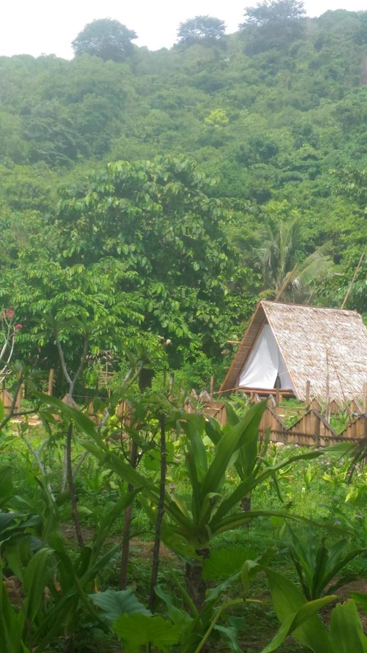 Plumeria Eco-Resort El Nido Pokoj fotografie